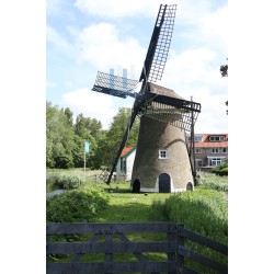 Alkmaar - Eendrachtsmolen 01